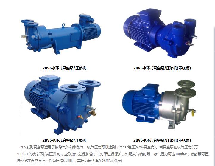 2BV系列水環(huán)真空泵